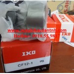 BẠC ĐẠN CF12-1 IKO